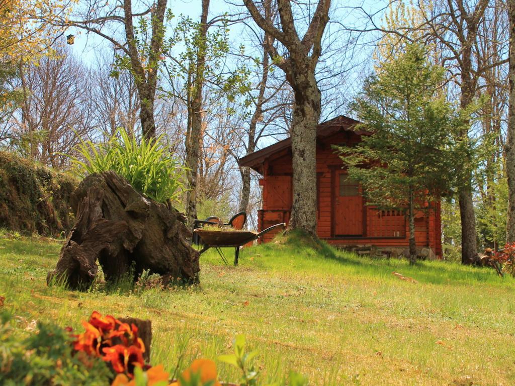 Cabanas De Madera Sanabria Vigo de Sanabria Extérieur photo