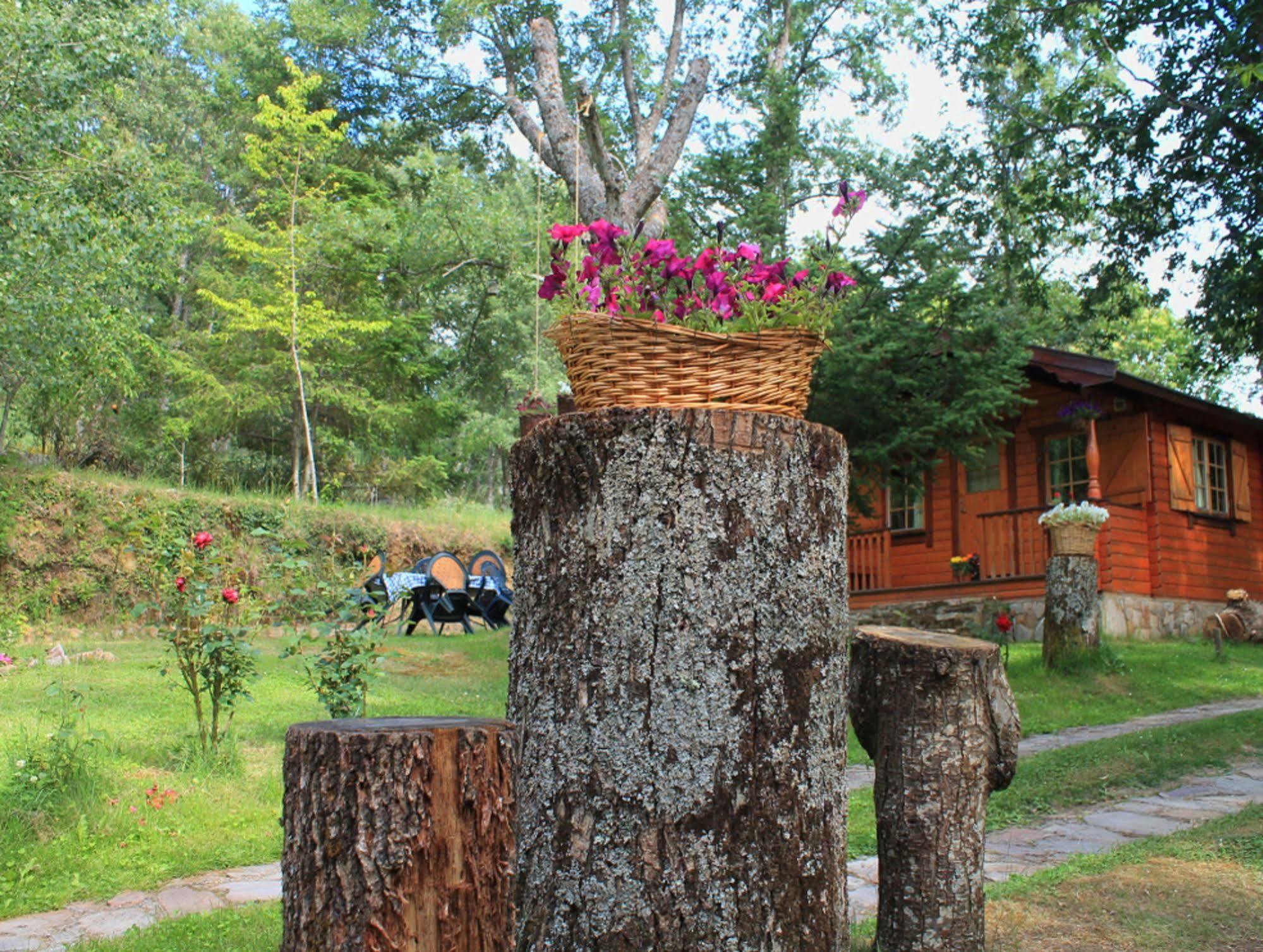 Cabanas De Madera Sanabria Vigo de Sanabria Extérieur photo