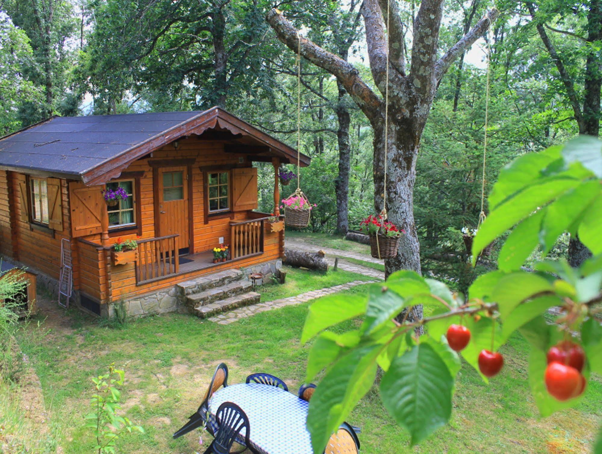 Cabanas De Madera Sanabria Vigo de Sanabria Extérieur photo