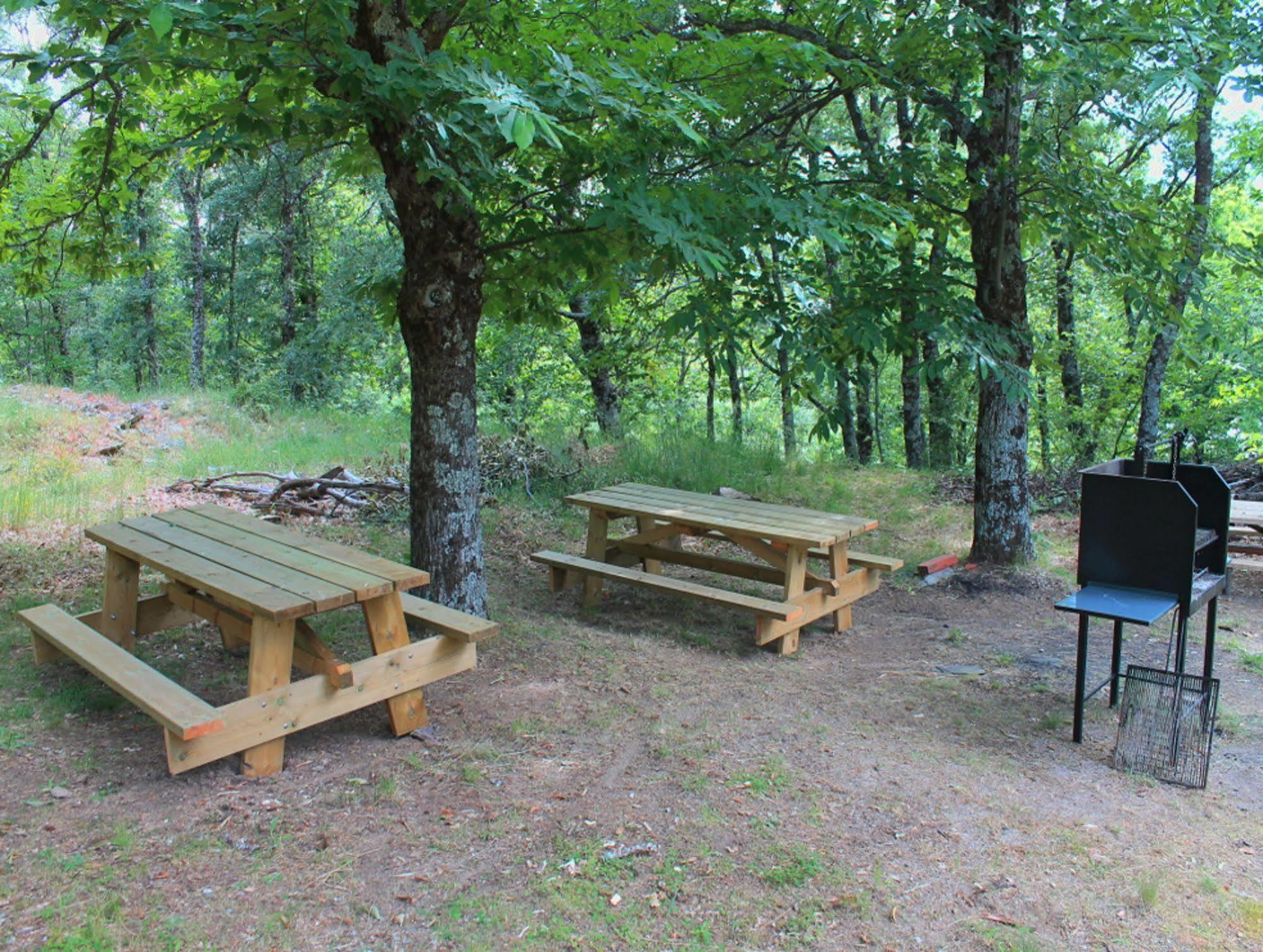 Cabanas De Madera Sanabria Vigo de Sanabria Extérieur photo