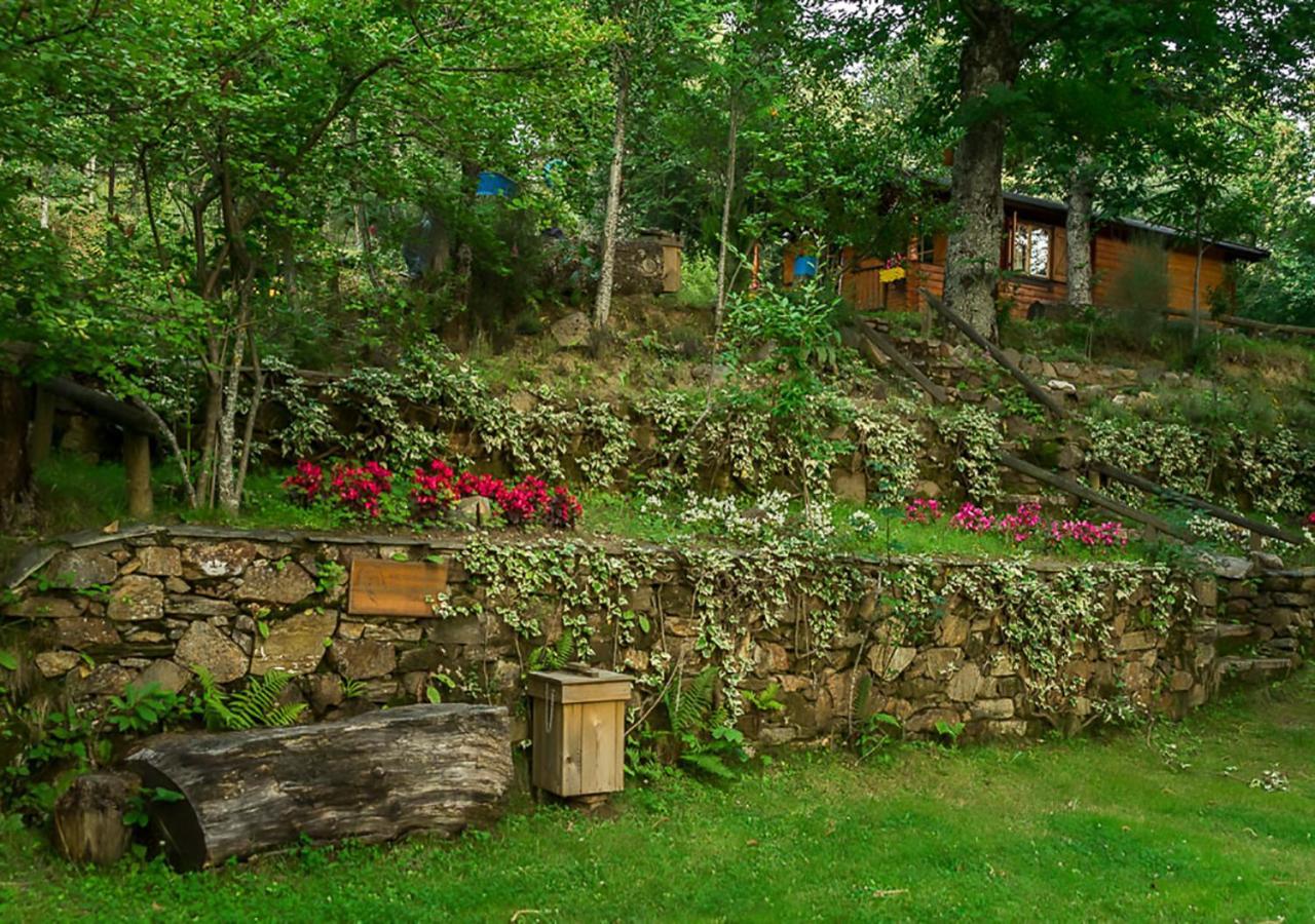 Cabanas De Madera Sanabria Vigo de Sanabria Extérieur photo