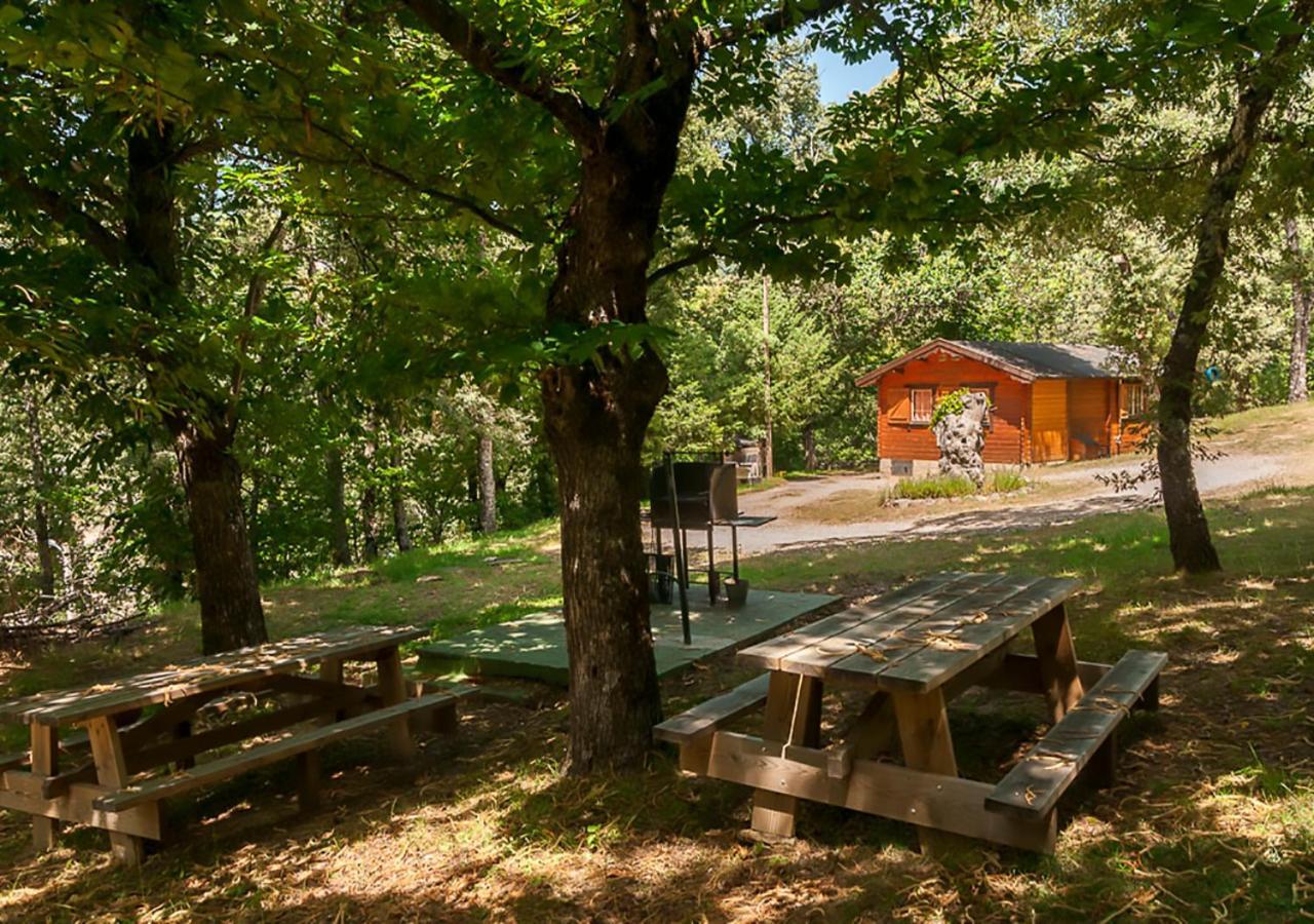 Cabanas De Madera Sanabria Vigo de Sanabria Extérieur photo