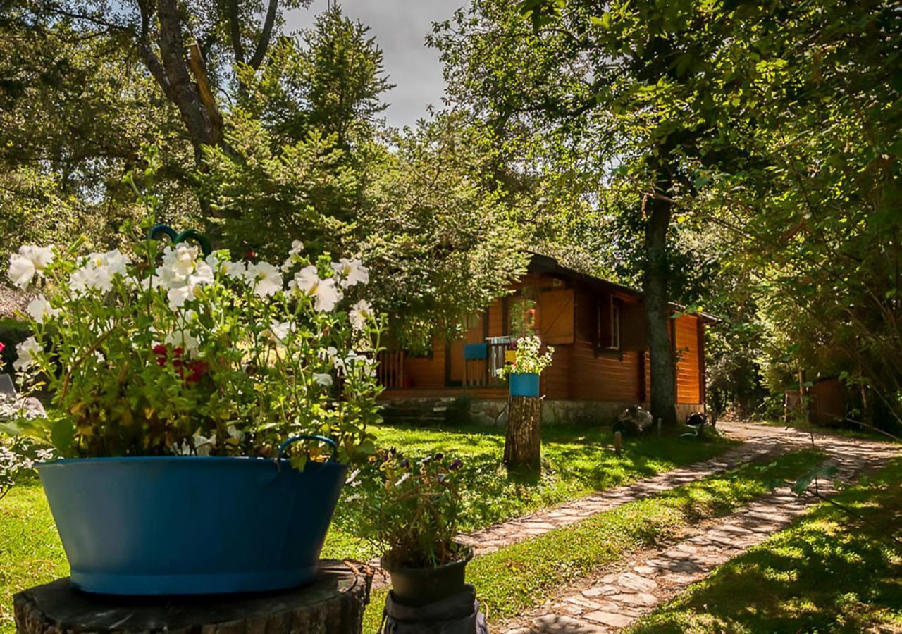 Cabanas De Madera Sanabria Vigo de Sanabria Extérieur photo